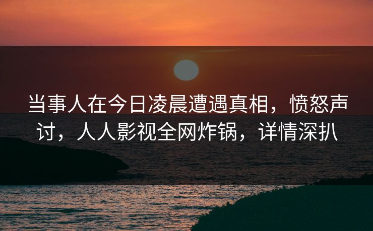 当事人在今日凌晨遭遇真相,愤怒声讨,人人影视全网炸锅,详情深扒